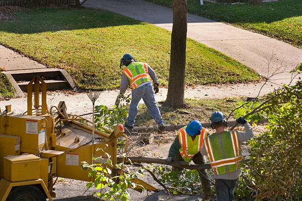 Soil Testing and Treatment in Diamond Bar, CA